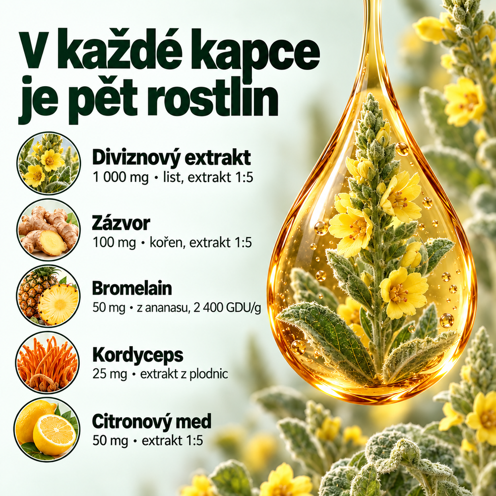 Pulmavi Labs – Kapky z divizny