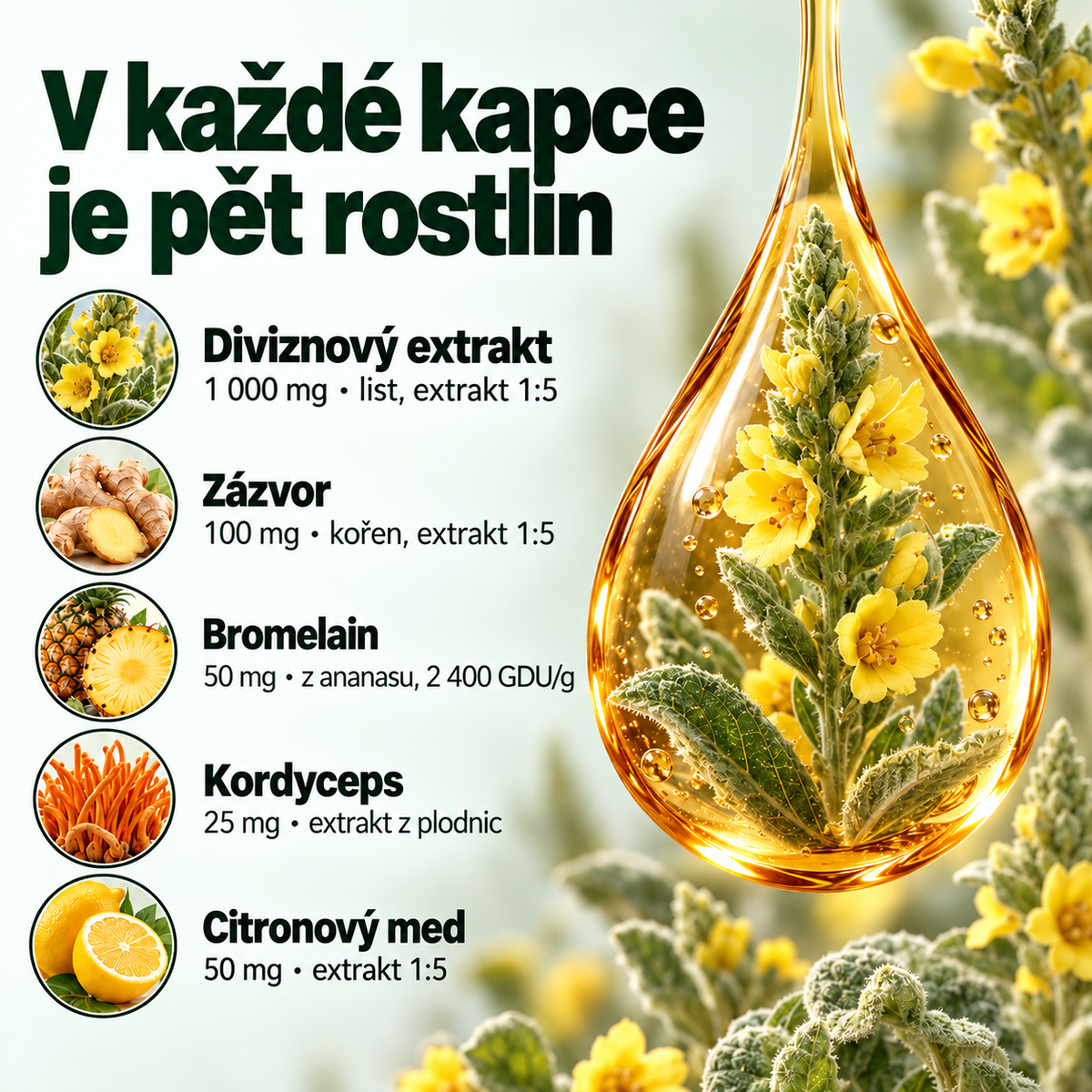 Pulmavi Labs – Kapky z divizny
